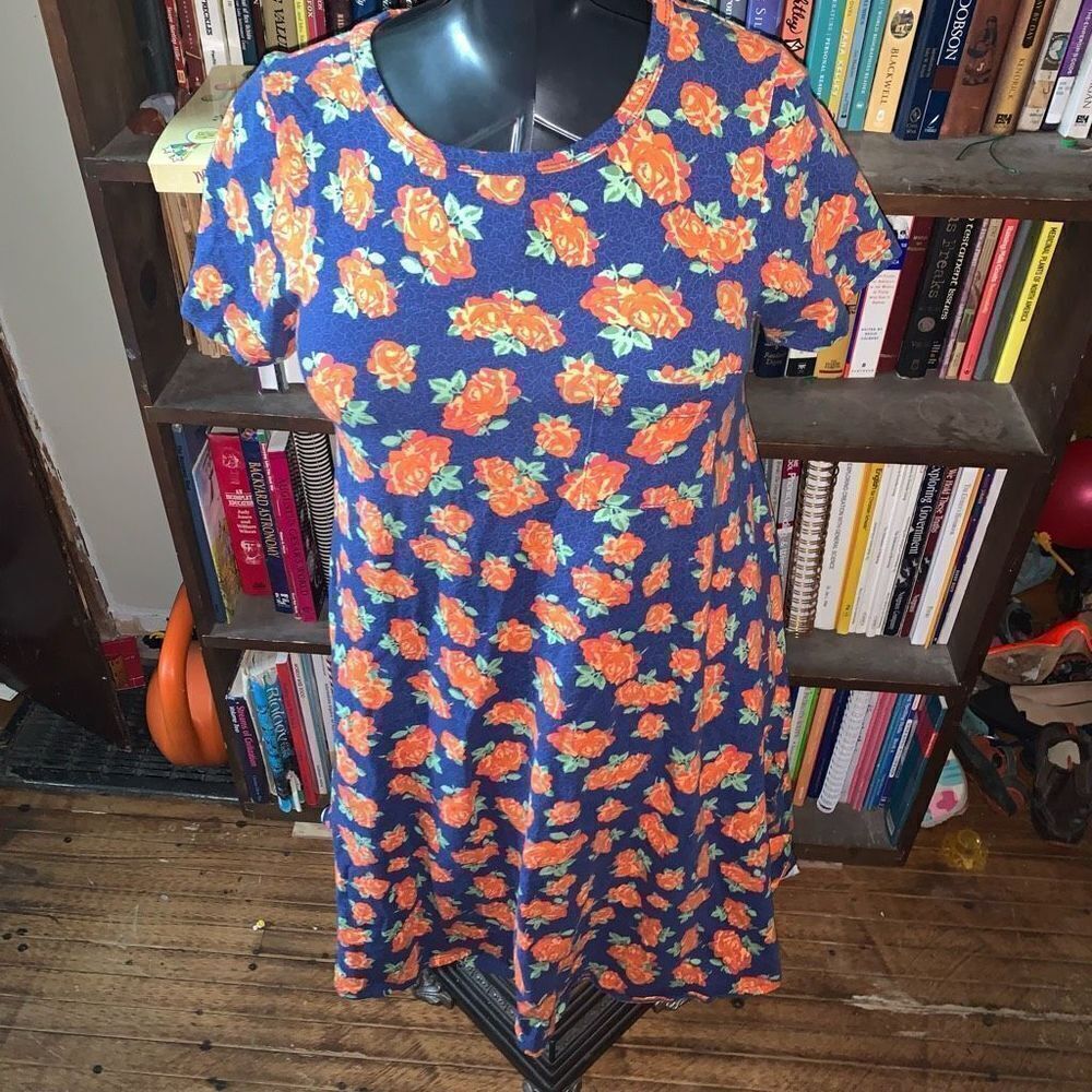 Lularoe Carly high low knit travelcore rose normcore cozy dress